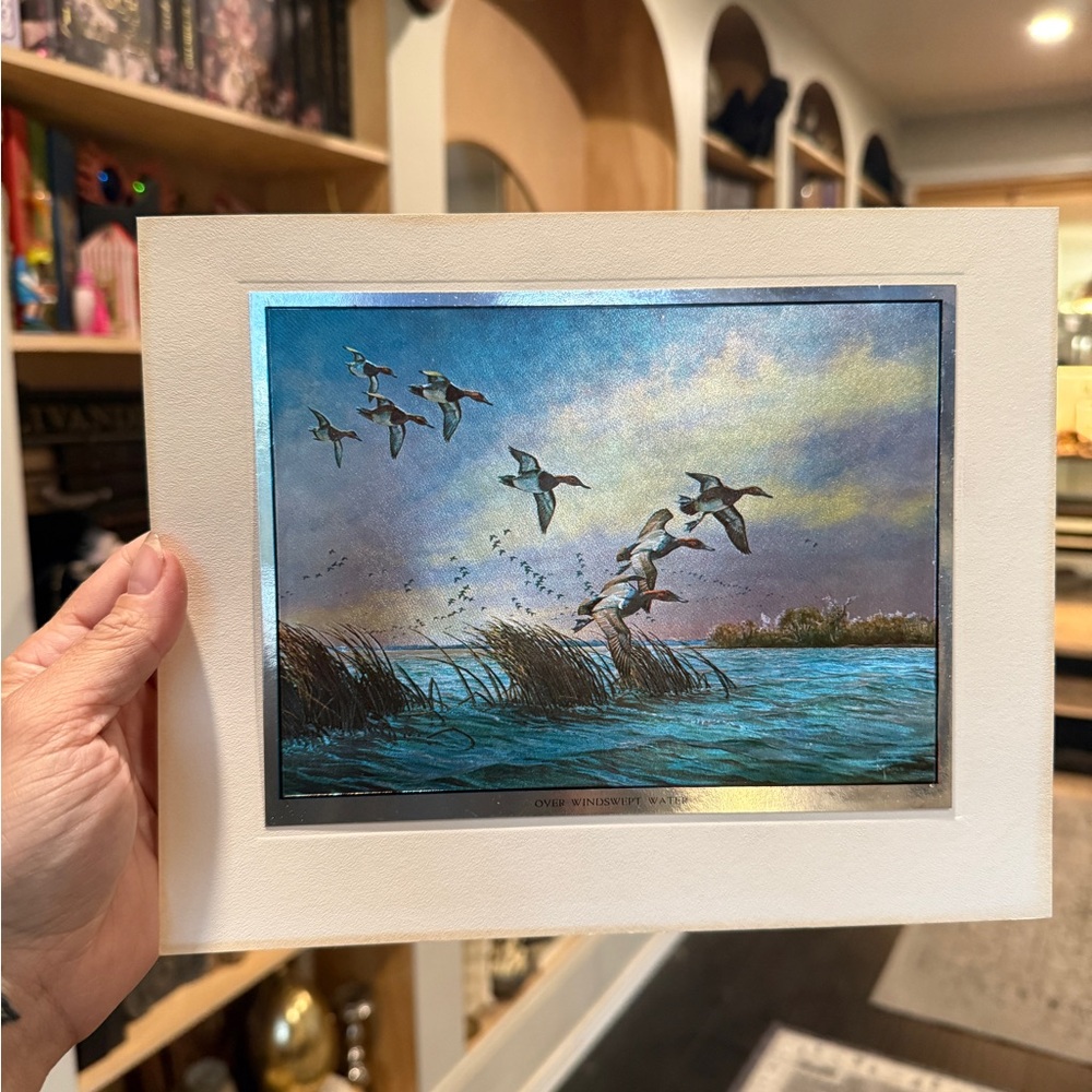 Rare Vintage David Maass Foil Print “Over Windswept Water” framed or unframed